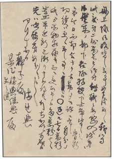 NOGI-G2.jpg